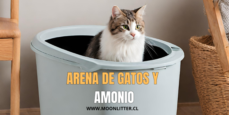 Arena para gatos y amonio