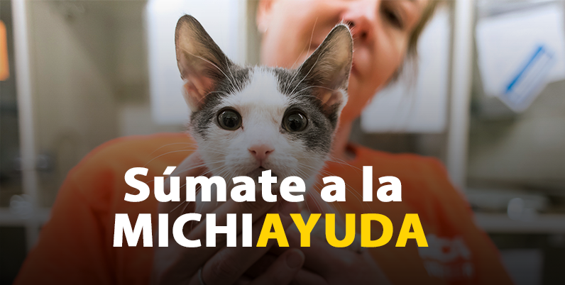 ¡Súmate a la michiayuda!